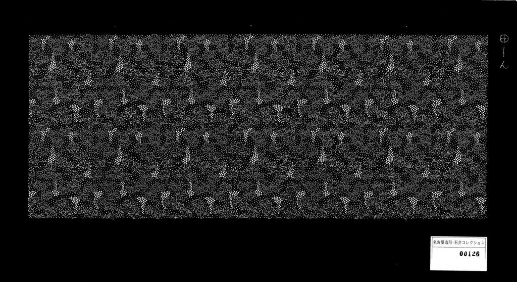 00126葡萄丈